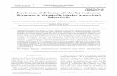Persistence of Tetracapsuloides bryosalmonae … · Cohabitation of SPF F. sultana with chronically infected brown trout resulted in suc- ... Infection with T. bryosalmonae seems