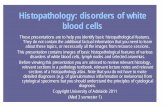 White blood cells - disorders of (Med 3) - Rated … · disorders of white blood cells, ... Before viewing this presentation you are advised to review relevant histology, ... •Lymphoid