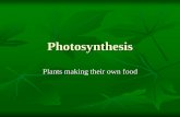 Plants making their own food - Rocoscience · 02-01-2013 · Explain how human intervention can play a role in photosynthesis. Role of Photosynthesis ...