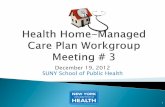 December 19, 2012 SUNY School of Public Health · North Shore-LIJ Health System 74 74 31 31 105 ... a decision tree “rule out, ... Create a standardized set of health home quality