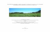 Quantifying spatially-explicit change in sediment … · Quantifying spatially-explicit change in sediment storage on an emerging floodplain and wetland on Carneros Creek, CA. ...