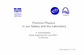 Positron Physics in our Galaxy and the Laboratory · Positron Physics in our Galaxy and the Laboratory ... 511 keV line width and form show the Doppler shift of the radiation by the