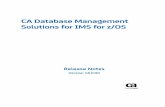 CA Database Management Solutions for IMS for z/OS System z Integrated Information Processor (zIIP) support is now provided for the following products: CA Database Ana ...