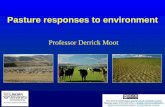 Professor Derrick Moot - Lincoln University · Title: Pasture responses to environment Author: Derrick Moot Subject: Extension presentation Keywords: perennial ryegrass, Lolium perenne,