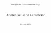 Differential Gene Expression - University of Minnesota Duluthpschoff/documents/DifferentialGeneExpressionwe… · Concepts Differential Gene Expression Gene transcription is regulated