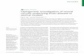 Optogenetic investigation of neural circuits underlying ...web.stanford.edu/group/dlab/media/papers/Tye Nat Neuro 2012.pdf · To improve understanding of psychiatric and neurologi