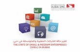 Rationale for the Report - sme.ae€¦ · Rationale for the Report ... SMEs and Large Companies, in AED ... UAE’s Ranks on Key Indices Orientation of SMEs