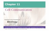 11 Lecture Presentation - Parkway Schools Bio Fall 2012/11... · PowerPoint ® Lecture Presentations for Biology Eighth Edition Neil Campbell and Jane Reece Lectures by Chris Romero,