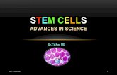 Stem Cellsstem-art.com/library/Basic/Stem cells advance in science.pdf · STEM CELL – DEFINITION A cell that has the ability to continuously divide and differentiate (develop) into