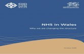 NHS in Wales Reform leaflet_October 2009.pdf · NHS in Wales Why we are changing the structure October 2009. ... up services between health and social care, and increasingly focus