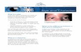 Stye and Chalazion - saeye.com · may start as an internal hordeolum (stye). The eyelid may get red, swollen, and sometimes tender to touch. If the chalazion gets large, it can