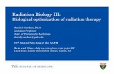 Radiation Biology III - AMOS Onlineamos3.aapm.org/abstracts/pdf/90-25499-333462-102837.pdf · Radiation Biology III: Biological optimization of radiation therapy ... variability in