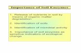 Importance of Soil Enzymes - Ohio State University · Importance of soil enzymes as ... Formation of bonds by the cleavage of ... Relationships between enzyme activities and microbial