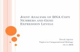 Joint Analysis of DNA Copy Numbers and Gene …cs.brown.edu/courses/csci2950-c/Fall2008/LectureSlides/DerekAguiar...Gene 4 0 0 1.5 1 -0.5. GENERAL TERMINOLOGY C(i,j) DNA copy number