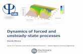 Dynamics of forced and unsteady-state processes - …pselab.chem.polimi.it/wp-content/uploads/2017/03/Les-03-Dynamics... · © Davide Manca –Dynamics and Control of Chemical Processes