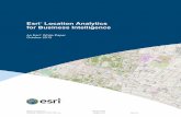 Esri Location Analytics for Business Intelligence · Business Intelligence This paper discusses the market dynamics that are ... One form of data enrichment is ... Esri Location Analytics