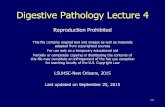 Digestive Pathology Lecture 4 - LSU Health New Orleans · Liver function tests Serum proteins Total, albumin Coagulation factors Prothrombin time/int. normalized ratio(PT/INR), Partial