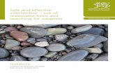 e Safe and Effective Intervention Minister Consolidatedlearning.gov.wales/docs/learningwales/publications/121128safeen.pdf · Safe and effective intervention ... behavioural difficulties