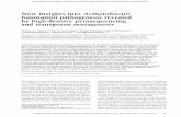 New insights into Acinetobacter baumannii pathogenesis ...genesdev.cshlp.org/content/21/5/601.full.pdf · New insights into Acinetobacter baumannii pathogenesis revealed by high-density