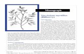 Vaccinium myrtillus (Bilberry) Monograph · Fitoterapia 1987;48:3-8. 11. Amella M, Bronner C, Briancon F, et al. Inhibition of mast cell histamine release by flavonoids and bioflavonoids.