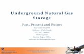 Underground Natural Gas Storage - michigan.gov€¦ · largest field in the US, 86 BCF working capacity (167 BCF field capacity) • Well drilled in 1953, converted to NG storage