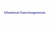 Carcinogenesis - University of North Carolina at Chapel Hill · History of Chemical Carcinogenesis ... Environmental Agents Free Radicals Polymerase Errors CELL REPLICATION. Chemical