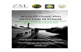 WILDLIFE CRIME AND DETECTION IN BERBAK - … · WILDLIFE CRIME AND DETECTION IN BERBAK ... investigation capacities, ... the WCCRT and BKSDA Jambi facilitated a wildlife conflict