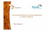 Clinical implications of immunogenicity of TNF inhibitors · Clinical implications of immunogenicity of TNF inhibitors Theo Rispens. Disclosure In relation to this presentation, I