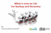 What is new on 12c For Backup and Recoveryoraclenz.org/wp-content/uploads/2013/11/What-is-new-on-12c-short.pdf · What is new on 12c For Backup and Recovery By: ... to do to upgrade