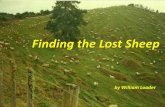 Finding the Lost Sheep - Murdoch Universityloader/LostSheep.pdf · Finding the Lost Sheep by William Loader . ... ^I know who is missing. It ... baby Jesus and Mary and Joseph and
