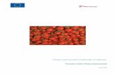 Protect and Provide Livelihoods in Lebanon - Mercy … Mercy Corps... · TOMATO VALUE CHAIN MAP ... PROCESSING ... Mercy Corps is launching a program entitled Protect and Provide