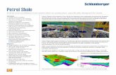 Petrel Reservoir Geomechanics - Schlumberger · Explore and identify the best acreage Selecting the right acreage is critical for success in shale plays. The exploration tools built