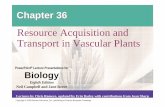 Resource Acquisition and Transport in Vascular Plants · Resource Acquisition and Transport in Vascular Plants. ... • Soil is a resource mined by the root system ... Plants Chapter