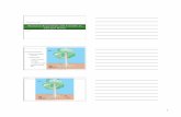 Resource Acquisi3on and Transfer in Vascular Plants · Resource Acquisi3on and Transfer in Vascular Plants ... transport, and bulk ﬂow Fig. 36-2-2 H 2O ... BIOL 223 Ch 36 Resource