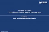 Working in the UK Opportunities for International ... in the UK... · Working in the UK Opportunities for International Entrepreneurs Wednesday, 27 May ... • prepare an initial