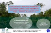 Comprehensive Ecohydrology Study to Support …jastip.org/sites/wp-content/uploads/2018/03/3_Ecohydrology... · K-exc danNa-exc Flamefotometer/ 11. Al danH KCl 1 N/Titrasi 12. Watercontents