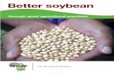 Better soybean - ASHCafricasoilhealth.cabi.org/wpcms/.../09/...Ethiopia-soybean-booklet.pdf · Better soybean. 2. 3 ... or processed for soy-milk, ... Land selection and preparation