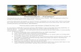 Permaculture… - Google Docs - sites.tufts.edu€¦-Google... · Permaculture….Paradise? Permaculture can be made very complicated or very simple. We are going to shoot for simple