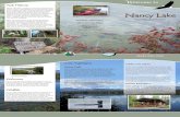 Nancy Lake State Recreation Area Brochure - …dnr.alaska.gov/parks/brochures/nancylake.pdf · Welcome Nancy Lake State Recreation Area (SRA) is one of . the few rolling, lake-studded