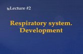 Respiratory syste. Development - kpfu.ru · Respiratory system. Development Lecture #2 . Respiratory system - is a biological system consisting of specific organs and structures used