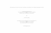 AN EMPIRICAL STUDY ON FUZZY C-MEANS … · an empirical study on fuzzy c-means clustering for turkish banking system a thesis submitted to the graduate school of social sciences of