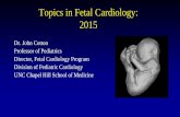 Topics in Fetal Cardiology: 2015 - Home - NCUSncus.org/files/fall2015/cotton.pdf · How does fetal heart disease ... for cardiovascular conditions before birth ... axis views of the