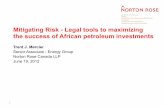 FINANCIAL’INSTITUTIONS’ TRANSPORT’ … - Norton Rose.pdf · Mitigating Risk - Legal tools to maximizing ... • Due to supremacy of geology, a good petroleum regime ... –