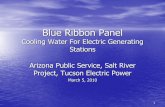 Blue Ribbon Panel - ADWR - Home .Blue Ribbon Panel Cooling Water For Electric Generating Stations