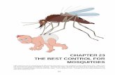 CHAPTER 23 THE BEST CONTROL FOR MOSQUITOES · CHAPTER 23 THE BEST CONTROL FOR MOSQUITOES ... were found living in the blood of nearly ... birds, ants, backswimmers, snails, water