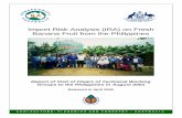 Import Risk Analysis (IRA) on Fresh Banana Fruit from … · Banana Fruit from the Philippines ... • The Filipino Banana Growers and Exporters Association, Inc. ... Davao del Sur,