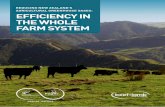 REDUCING NEW ZEALAND’S AGRICULTURAL … · REDUCING NEW ZEALAND’S AGRICULTURAL GREENHOUSE GASES: EFFICIENCY IN ... EFFICIENCY IN THE WHOLE FARM SYSTEM The New Zealand ... New