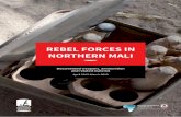 REBEL FORCES IN NORTHERN MALI - Conflict … · 3.5 RPG-7-pattern rocket launcher 11 ... technical expertise in weapons identification and ... Rebel Forces in Northern Mali: Documented