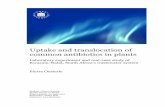 Uptake and translocation of common antibiotics in …umu.diva-portal.org/smash/get/diva2:1140349/FULLTEXT01.pdf · Uptake and translocation of common antibiotics in plants ... 12