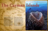 Infamous for pirates and bankers, the Cayman Islands … · ed that the island was not inhabited, but crocodiles, alligators, ... on, cantaloup, green and hot pep-pers, tomatoes,